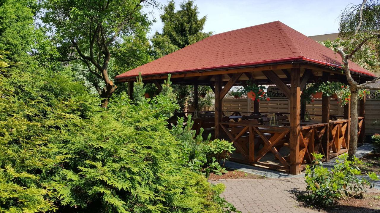 Pensjonat Tadeusz I Apartamenty W Darlowku Darłówko Exterior foto